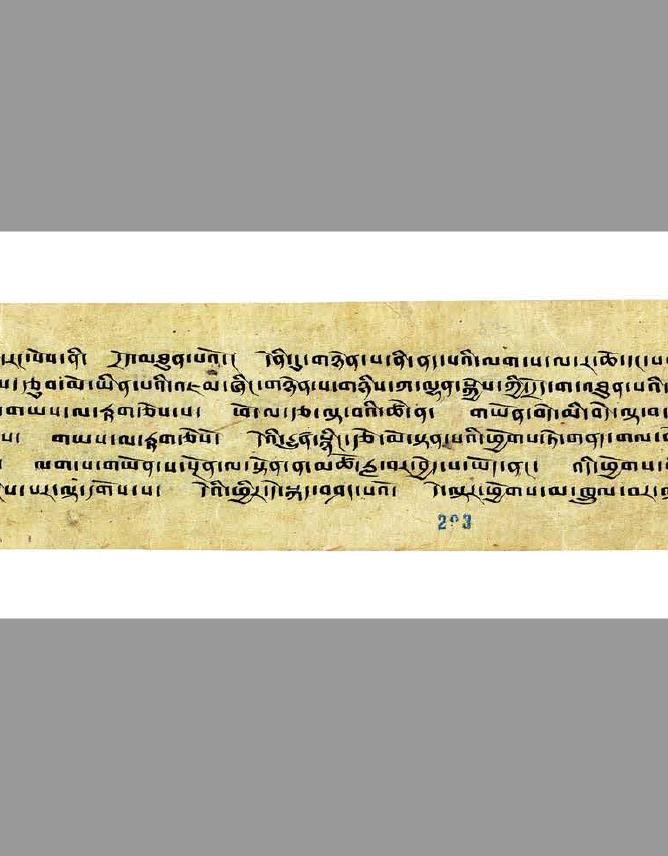 四部医典_后续医典部注释