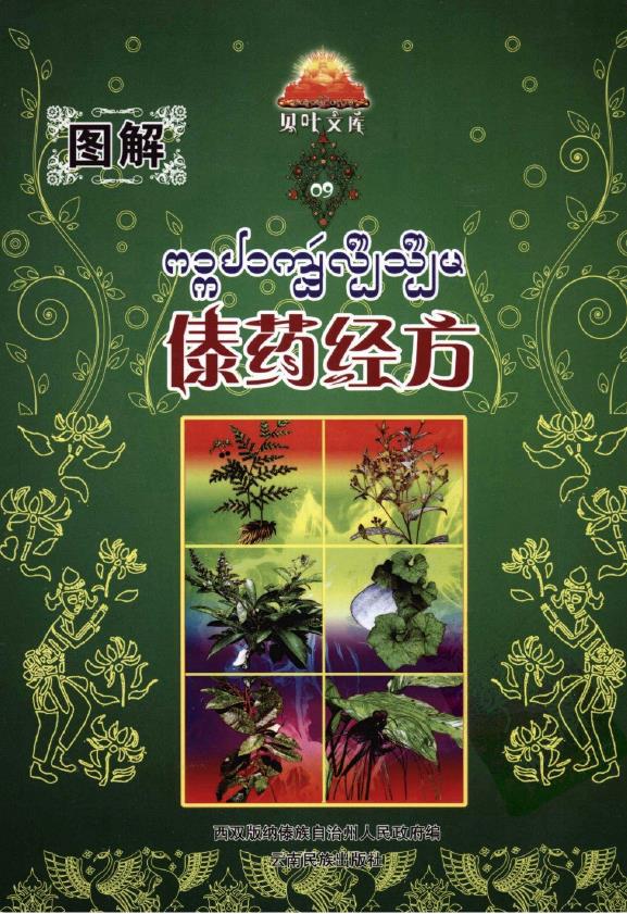 图解傣药经方