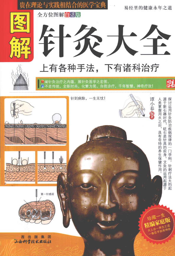 图解针灸大全 上有各种手法 下有诸科治疗pdf