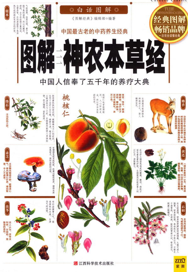 图解神农本草经（经典图解畅销品牌）pdf