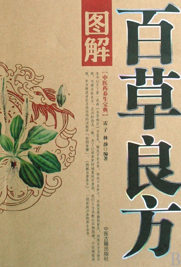 图解百草良方（雷子、林静）pdf