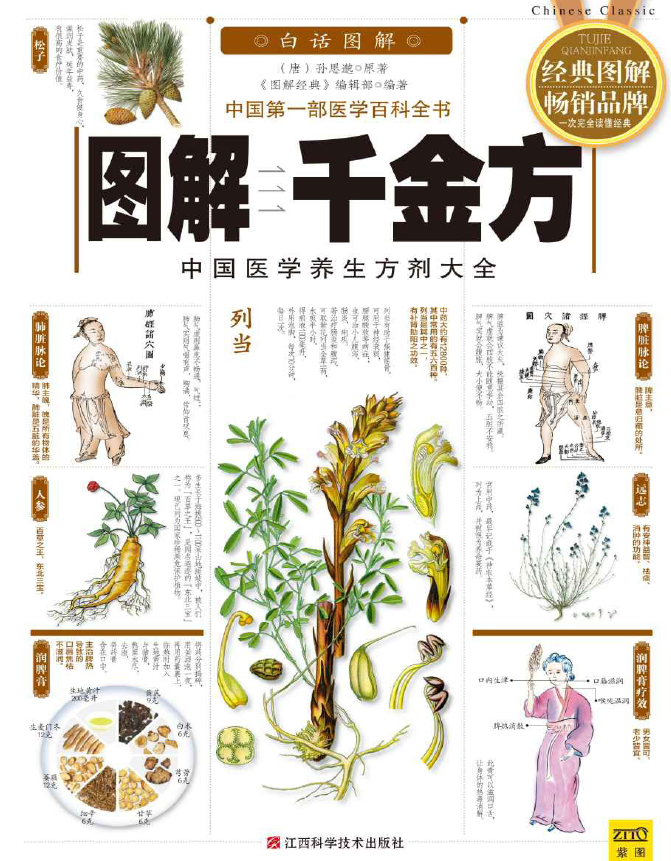 图解千金方  经典图解畅销品牌  文字插图版pdf