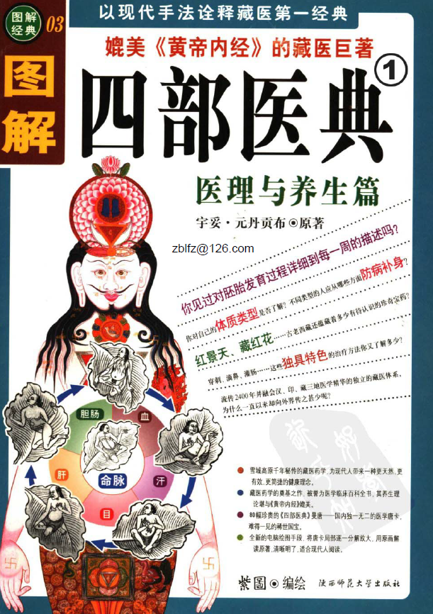图解四部医典 第1部医理与养生篇 第2部秘法与实用篇（2册全套）pdf